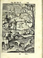 An illustration from Delle caccie di Eugenio Raimondi bresciano libri quattro ; aggiuntoui'n questa nuoua'mpressione altre caccie che sperse in altri libri andauano (1630)