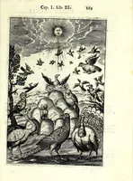 An illustration from Delle caccie di Eugenio Raimondi bresciano libri quattro ; aggiuntoui'n questa nuoua'mpressione altre caccie che sperse in altri libri andauano (1630)