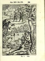 An illustration from Delle caccie di Eugenio Raimondi bresciano libri quattro ; aggiuntoui'n questa nuoua'mpressione altre caccie che sperse in altri libri andauano (1630)