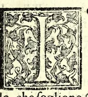 An illustration from Delle caccie di Eugenio Raimondi bresciano libri quattro ; aggiuntoui'n questa nuoua'mpressione altre caccie che sperse in altri libri andauano (1630)