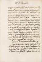 Picture 10 of 24 from Delle cose de la villa libro secondo (-V) ; Libro degl'Abberi (1700), leaf 218