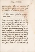 Picture 21 of 24 from Delle cose de la villa libro secondo (-V) ; Libro degl'Abberi (1700), leaf 317