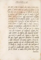 Picture 23 of 24 from Delle cose de la villa libro secondo (-V) ; Libro degl'Abberi (1700), leaf 330