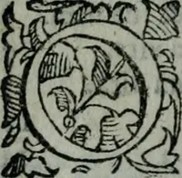An illustration from Delle cose notabili della città di Venetia libri II : ne' quali amplamente, e con ogni verità si contengono vsanze antiche, habiti & vestiti, officii e magistrati, vittorie illustri, principi & vita loro, tutti patriarchi, senatori famosi, huomini letterati, chiese e monasterij, corpi santi e reliquie, fabriche e palazzi, pittori e pitture, scultori e scolture, auuocati famosi, medici eccellenti, musici di più sorte : con la tauola copiosa (1587)