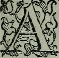 An illustration from Delle cose notabili della città di Venetia libri II : ne' quali amplamente, e con ogni verità si contengono vsanze antiche, habiti & vestiti, officii e magistrati, vittorie illustri, principi & vita loro, tutti patriarchi, senatori famosi, huomini letterati, chiese e monasterij, corpi santi e reliquie, fabriche e palazzi, pittori e pitture, scultori e scolture, auuocati famosi, medici eccellenti, musici di più sorte : con la tauola copiosa (1587)