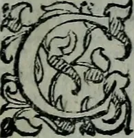 An illustration from Delle cose notabili della città di Venetia libri II : ne' quali amplamente, e con ogni verità si contengono vsanze antiche, habiti & vestiti, officii e magistrati, vittorie illustri, principi & vita loro, tutti patriarchi, senatori famosi, huomini letterati, chiese e monasterij, corpi santi e reliquie, fabriche e palazzi, pittori e pitture, scultori e scolture, auuocati famosi, medici eccellenti, musici di più sorte : con la tauola copiosa (1587)