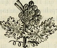 An illustration from De l'électricité du corps humain dans l'état de santé et de maladie (1780)