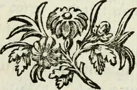 An illustration from De l'électricité du corps humain dans l'état de santé et de maladie (1780)