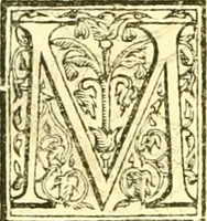 An illustration from Delle famiglie nobili Napoletane (1580)