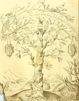 An illustration from Delle famiglie nobili Napoletane (1580)