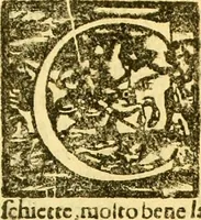 Picture 100 of 101 from Delle famiglie nobili Napoletane (1580), leaf 524