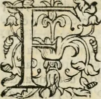 An illustration from Descrizione delle feste fatte nelle reali nozze de' Serenissimi principi di Toscana d. Cosimo de' Medici, e Maria Maddalena arcidvchessa d'Avstria (1608)