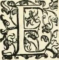 An illustration from Delle fortificationi di Bvonaivto Lorini, nobile fiorentino, libri cinque : ne' qvali si mostra con le piv facili regole la scienza con la pratica, di fortificare le citta & altri luoghi sopra diuersi siti, con tvtti gli avvertimenti, che per intelligenza di tal materia possono occorrere .. (1597)