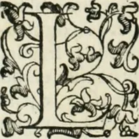 An illustration from Delle fortificationi di Bvonaivto Lorini, nobile fiorentino, libri cinque : ne' qvali si mostra con le piv facili regole la scienza con la pratica, di fortificare le citta & altri luoghi sopra diuersi siti, con tvtti gli avvertimenti, che per intelligenza di tal materia possono occorrere .. (1597)