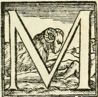 An illustration from Delle fortificationi di Bvonaivto Lorini, nobile fiorentino, libri cinque : ne' qvali si mostra con le piv facili regole la scienza con la pratica, di fortificare le citta & altri luoghi sopra diuersi siti, con tvtti gli avvertimenti, che per intelligenza di tal materia possono occorrere .. (1597)