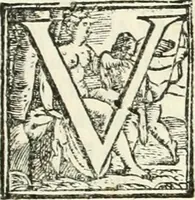An illustration from Delle fortificationi di Bvonaivto Lorini, nobile fiorentino, libri cinque : ne' qvali si mostra con le piv facili regole la scienza con la pratica, di fortificare le citta & altri luoghi sopra diuersi siti, con tvtti gli avvertimenti, che per intelligenza di tal materia possono occorrere .. (1597)