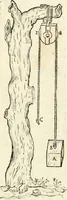 Picture 152 of 206 from Delle fortificationi di Bvonaivto Lorini, nobile fiorentino, libri cinque : ne' qvali si mostra con le piv facili regole la scienza con la pratica, di fortificare le citta & altri luoghi sopra diuersi siti, con tvtti gli avvertimenti, che per intelligenza di tal materia possono occorrere .. (1597), leaf 194