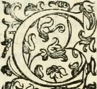 An illustration from Delle fortificationi di Bvonaivto Lorini, nobile fiorentino, libri cinque : ne' qvali si mostra con le piv facili regole la scienza con la pratica, di fortificare le citta & altri luoghi sopra diuersi siti, con tvtti gli avvertimenti, che per intelligenza di tal materia possono occorrere .. (1597)