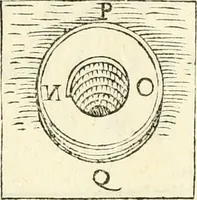 An illustration from Delle fortificationi di Bvonaivto Lorini, nobile fiorentino, libri cinque : ne' qvali si mostra con le piv facili regole la scienza con la pratica, di fortificare le citta & altri luoghi sopra diuersi siti, con tvtti gli avvertimenti, che per intelligenza di tal materia possono occorrere .. (1597)