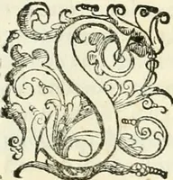An illustration from Delle fortificationi di Bvonaivto Lorini, nobile fiorentino, libri cinque : ne' qvali si mostra con le piv facili regole la scienza con la pratica, di fortificare le citta & altri luoghi sopra diuersi siti, con tvtti gli avvertimenti, che per intelligenza di tal materia possono occorrere .. (1597)