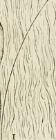 An illustration from Delle fortificationi di Bvonaivto Lorini, nobile fiorentino, libri cinque : ne' qvali si mostra con le piv facili regole la scienza con la pratica, di fortificare le citta & altri luoghi sopra diuersi siti, con tvtti gli avvertimenti, che per intelligenza di tal materia possono occorrere .. (1597)