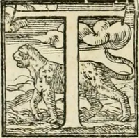 An illustration from Delle fortificationi di Bvonaivto Lorini, nobile fiorentino, libri cinque : ne' qvali si mostra con le piv facili regole la scienza con la pratica, di fortificare le citta & altri luoghi sopra diuersi siti, con tvtti gli avvertimenti, che per intelligenza di tal materia possono occorrere .. (1597)