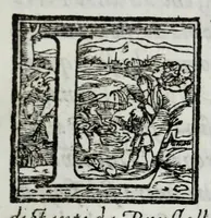 An illustration from Delle guerre della Germania Inferiore. Istoria (1614)