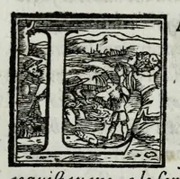 An illustration from Delle guerre della Germania Inferiore. Istoria (1614)
