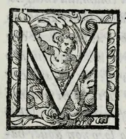 An illustration from Delle guerre della Germania Inferiore. Istoria (1614)