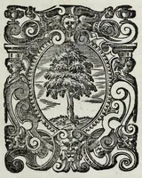 Picture 13 of 13 from Delle guerre della Germania Inferiore. Istoria (1614), leaf 577