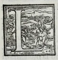 An illustration from Delle guerre della Germania Inferiore. Istoria (1614)