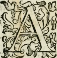 Picture 4 of 17 from Delle historie bresciane di M. Helia Cavriolo libri dodeci : ne' qvali si vede l'origine et antichità della città Brescia, come fv delle prime che venesse alla fede, il nvmero de martiri, et de vescovi canonizati : le gverre, i sacchi, e le rovine di qvella : tutti i suoi signori, et come peruenne sotto il felicissimo dominio venetiano (1585), leaf 11