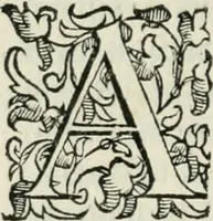 Picture 16 of 17 from Delle historie bresciane di M. Helia Cavriolo libri dodeci : ne' qvali si vede l'origine et antichità della città Brescia, come fv delle prime che venesse alla fede, il nvmero de martiri, et de vescovi canonizati : le gverre, i sacchi, e le rovine di qvella : tutti i suoi signori, et come peruenne sotto il felicissimo dominio venetiano (1585), leaf 257