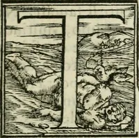 Picture 5 of 17 from Delle historie bresciane di M. Helia Cavriolo libri dodeci : ne' qvali si vede l'origine et antichità della città Brescia, come fv delle prime che venesse alla fede, il nvmero de martiri, et de vescovi canonizati : le gverre, i sacchi, e le rovine di qvella : tutti i suoi signori, et come peruenne sotto il felicissimo dominio venetiano (1585), leaf 28