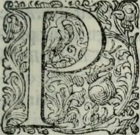 An illustration from Delle imprese trattato (1592)