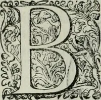 An illustration from Delle imprese trattato (1592)