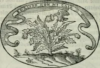 An illustration from Delle imprese trattato (1592)