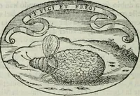 An illustration from Delle imprese trattato (1592)