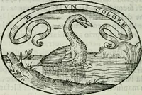An illustration from Delle imprese trattato (1592)