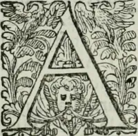 An illustration from Delle imprese trattato (1592)