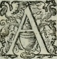 An illustration from Delle imprese trattato (1592)