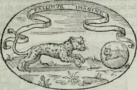 An illustration from Delle imprese trattato (1592)