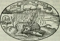 An illustration from Delle imprese trattato (1592)