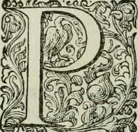 An illustration from Delle imprese trattato (1592)