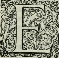 An illustration from Delle imprese trattato (1592)