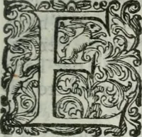 An illustration from Delle imprese trattato (1592)