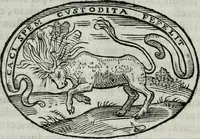 An illustration from Delle imprese trattato (1592)
