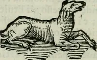 An illustration from Delle imprese trattato (1592)