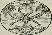 An illustration from Delle imprese trattato (1592)