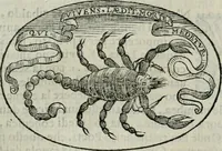 An illustration from Delle imprese trattato (1592)
